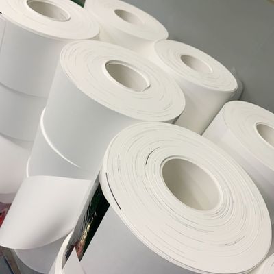 chất lượng  0.1µM - 5µM Pore Size Nylon (Polyamide) Membrane Filter Circles nhà máy sản xuất